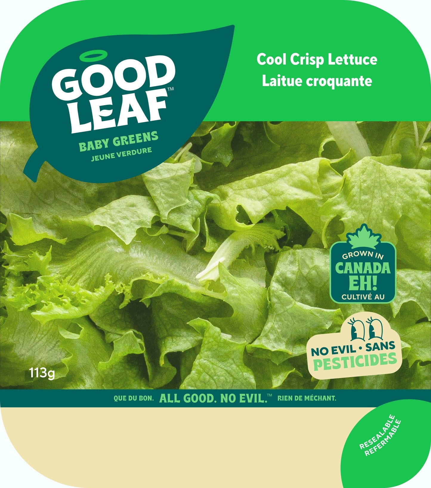 Good Leaf Vegetable Sprouts