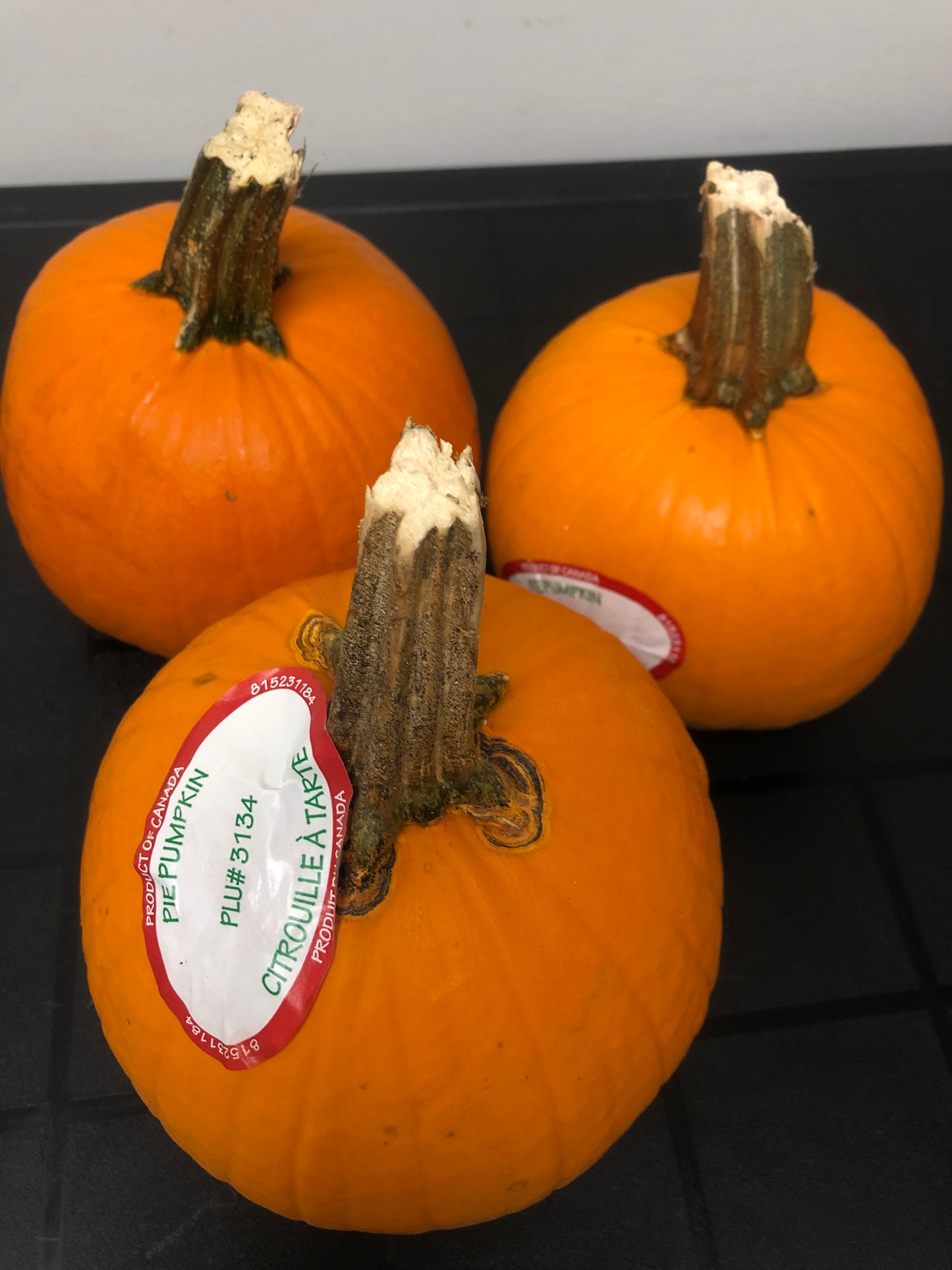 Small pie pumpkin