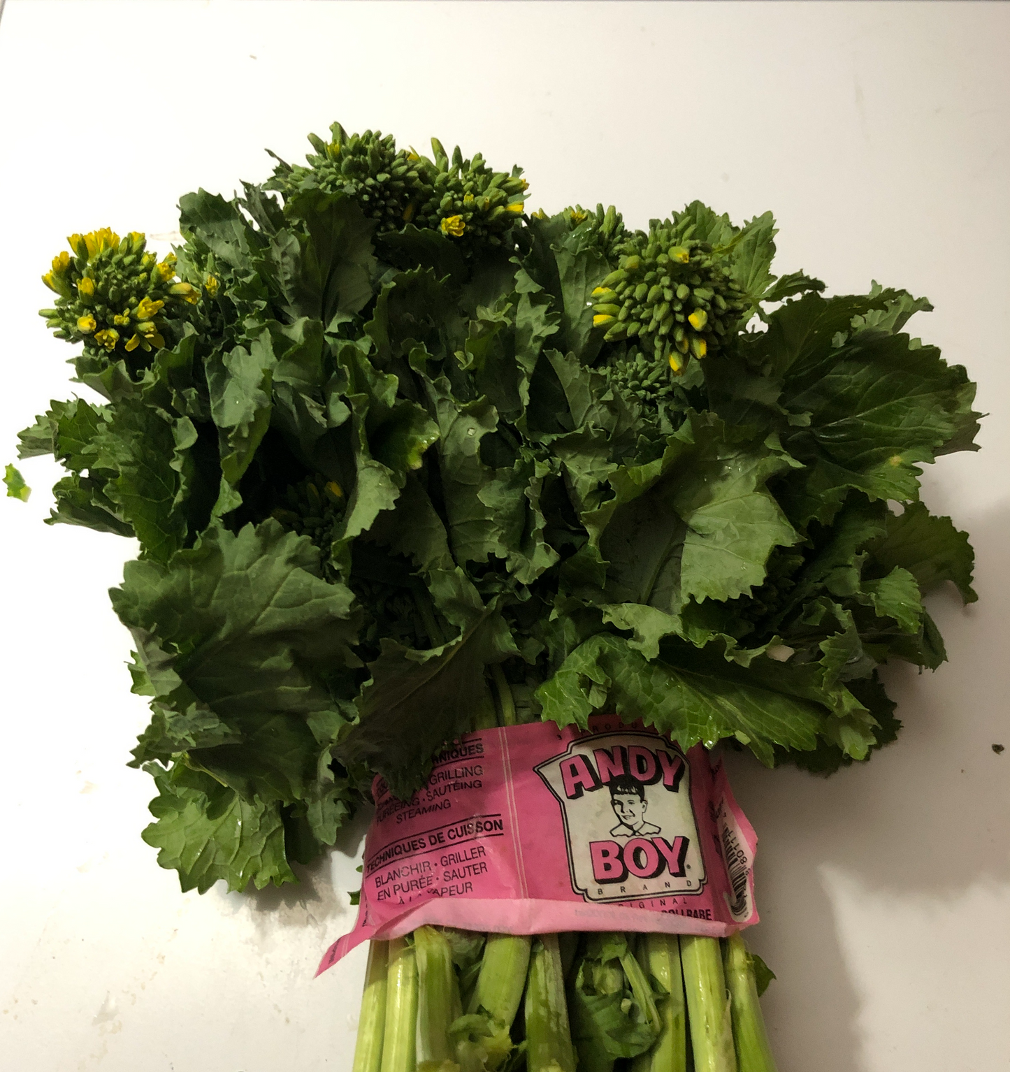 Rapini bunch