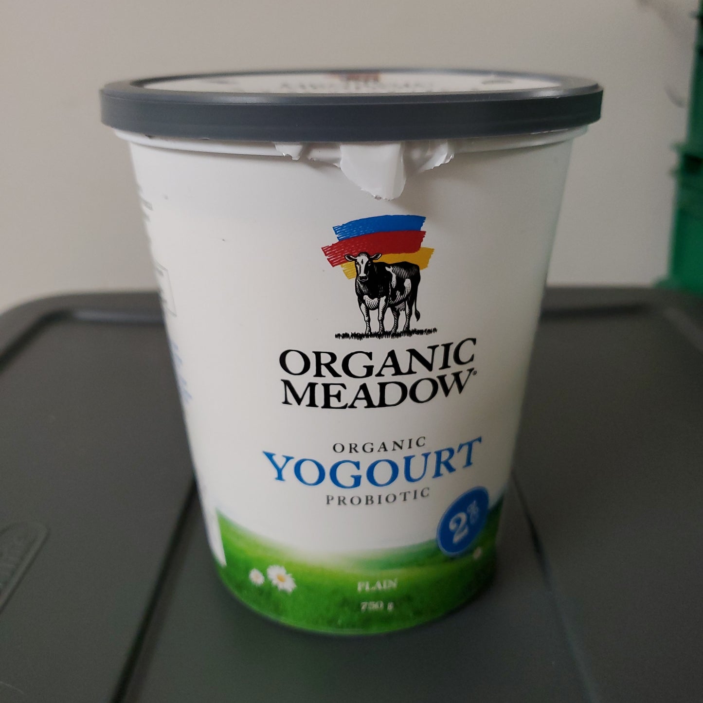 Yogurt - Variety