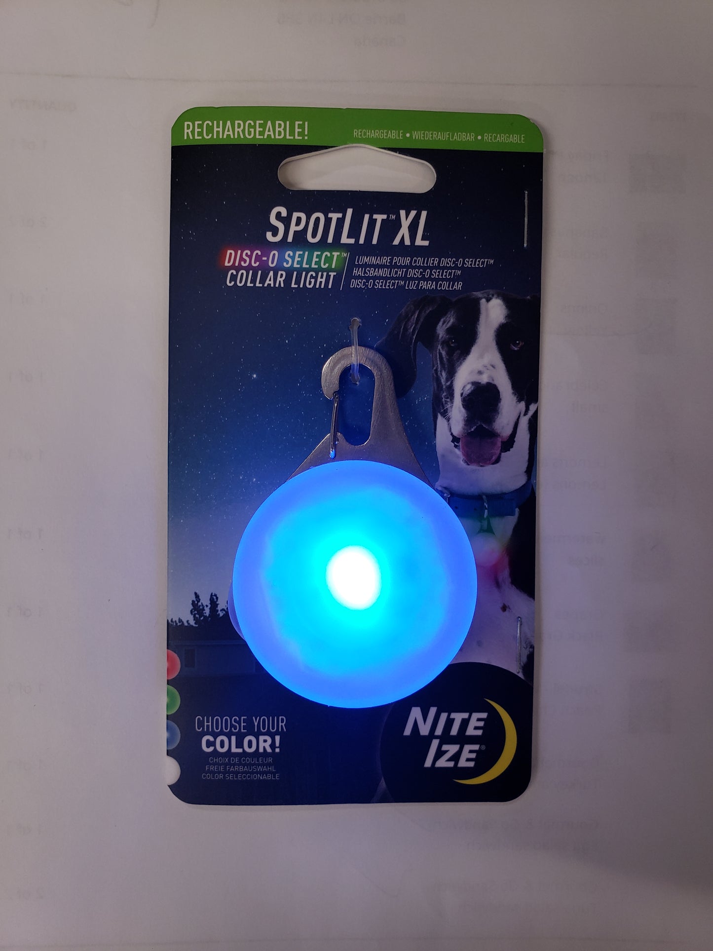 Pet Accessories