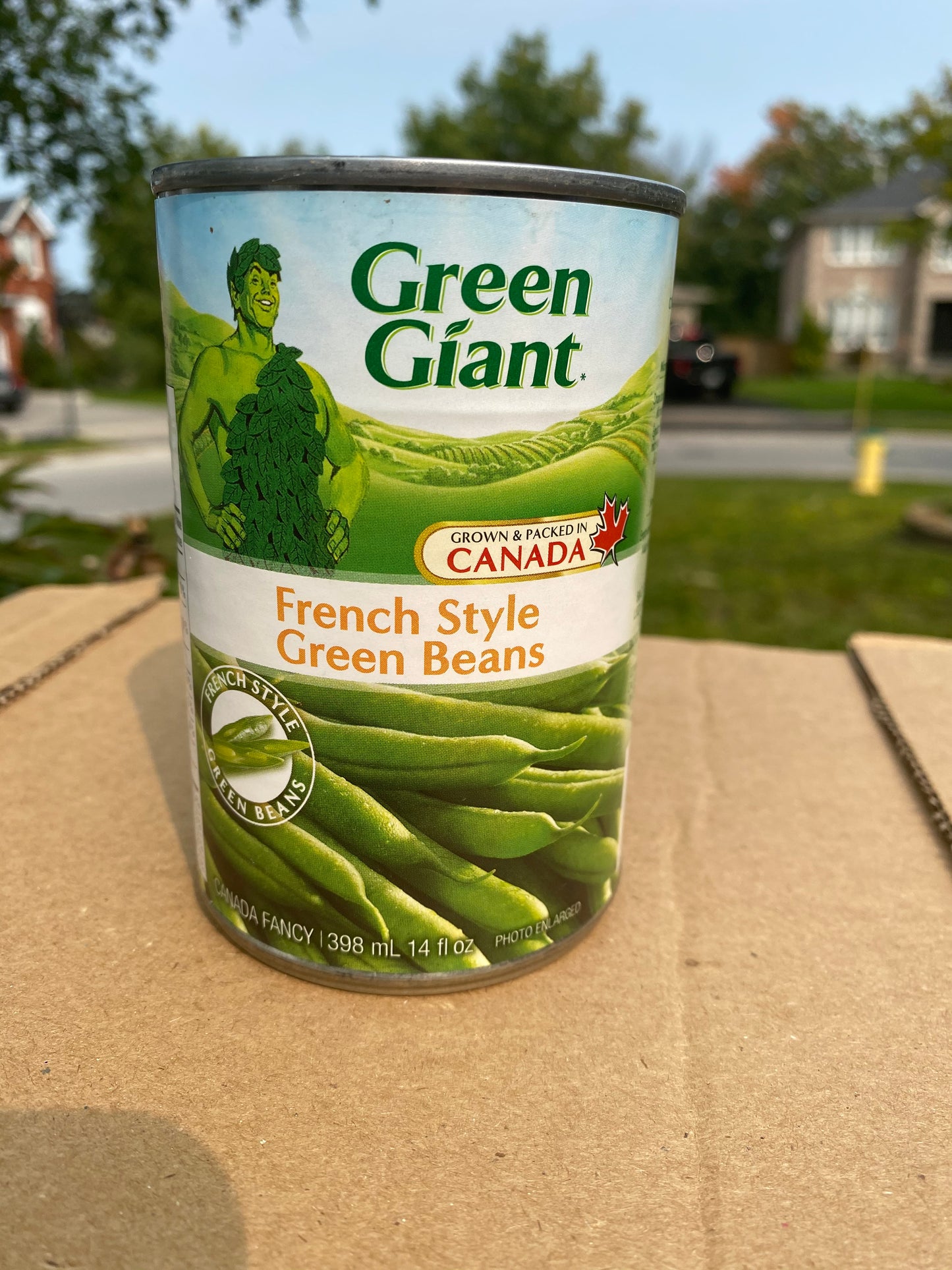 Canned Green Beans
