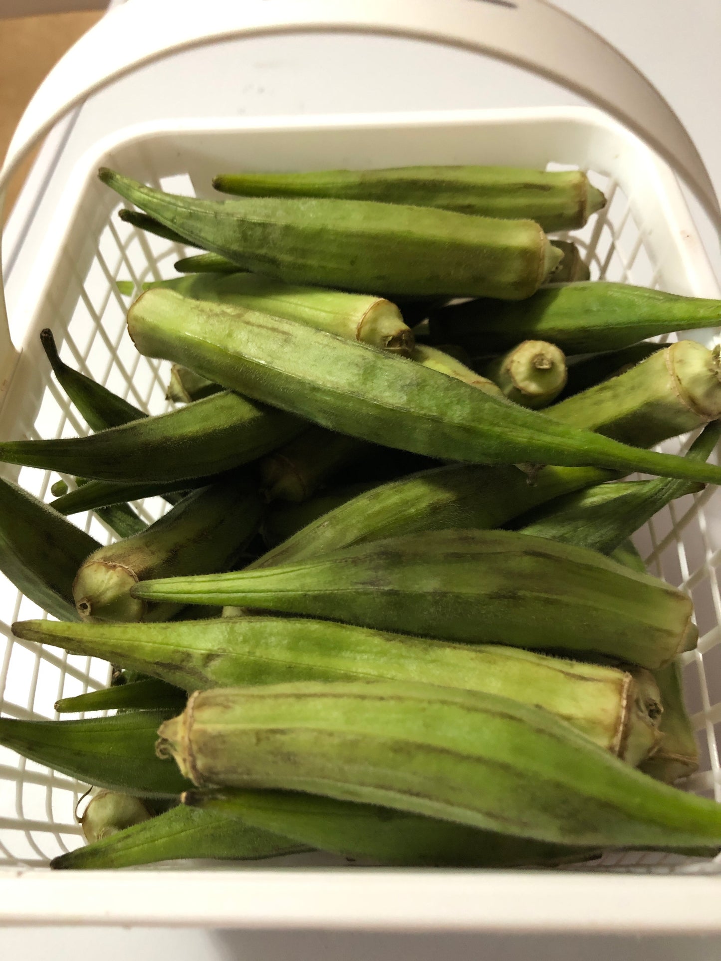 Okra (1 lbs bunch)