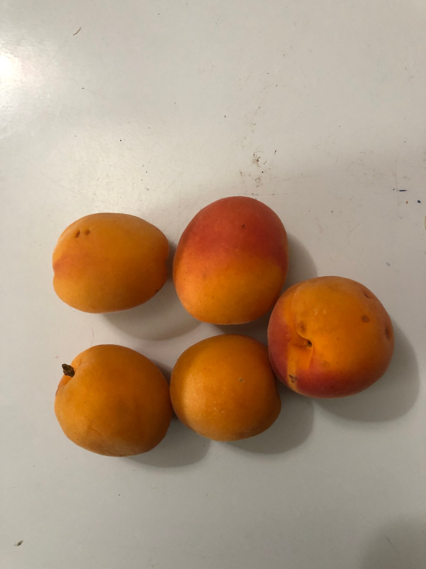 Apricots