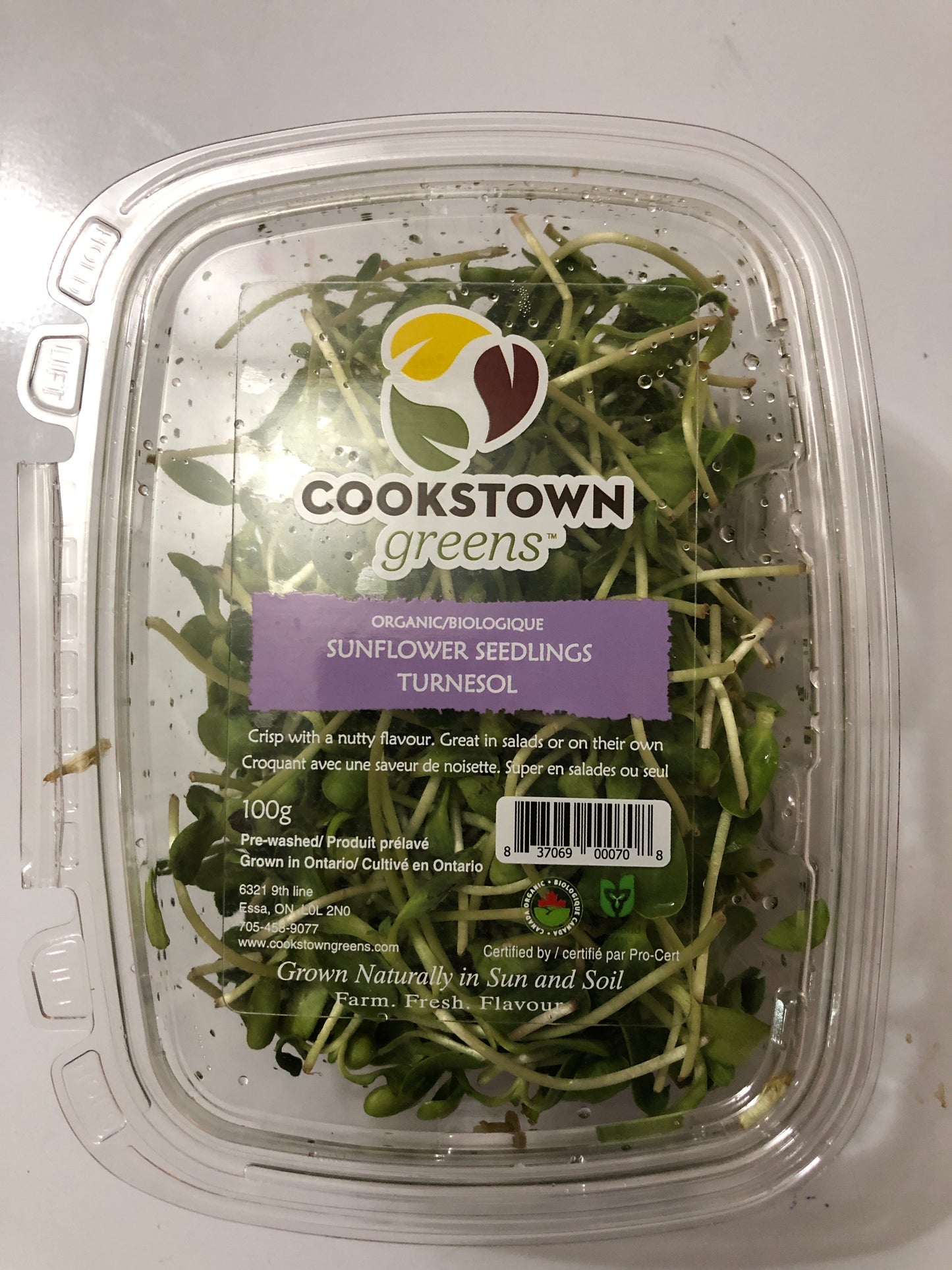 Seedlings