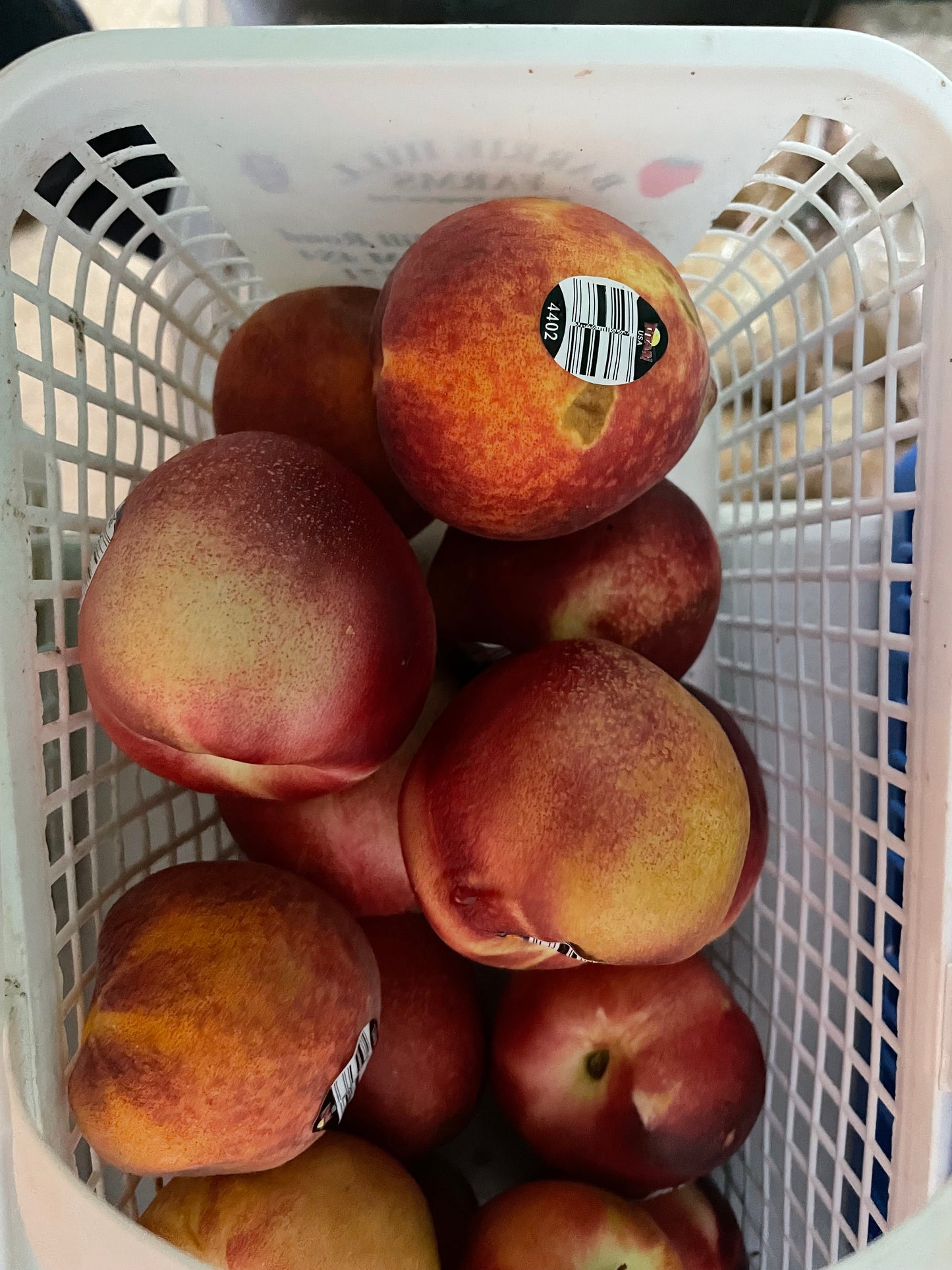 Nectarine