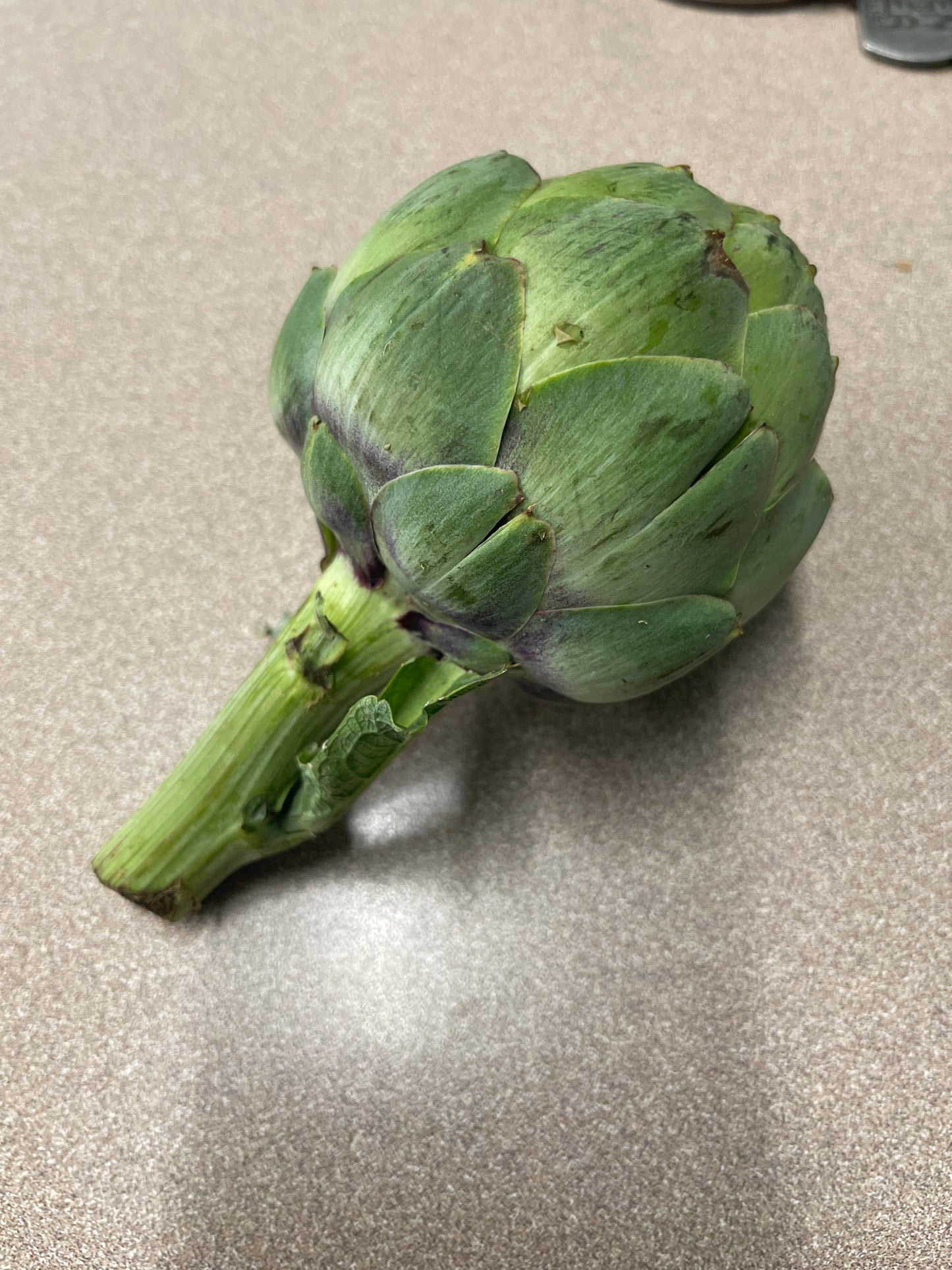 Artichoke