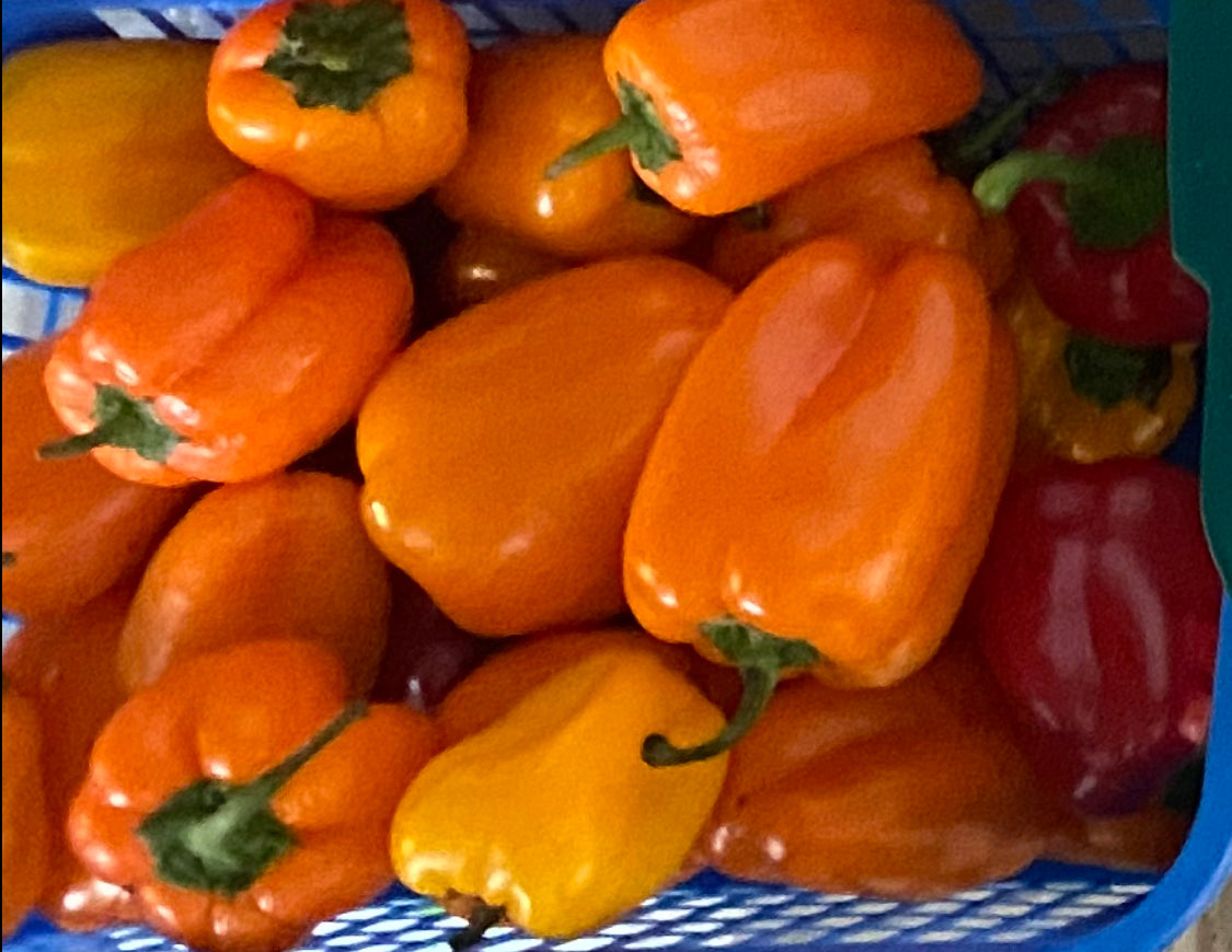 Mini Sweet Peppers Bag