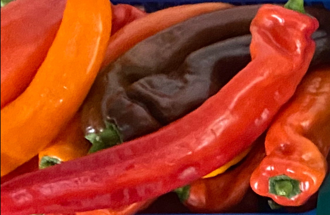 Sweet Twister Peppers (each)