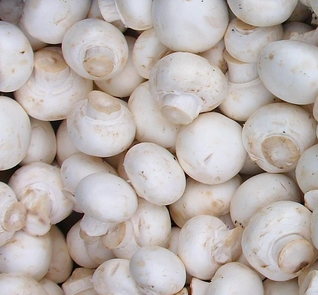 Whole Mushrooms