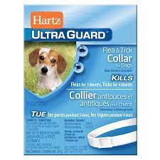 Pet Accessories