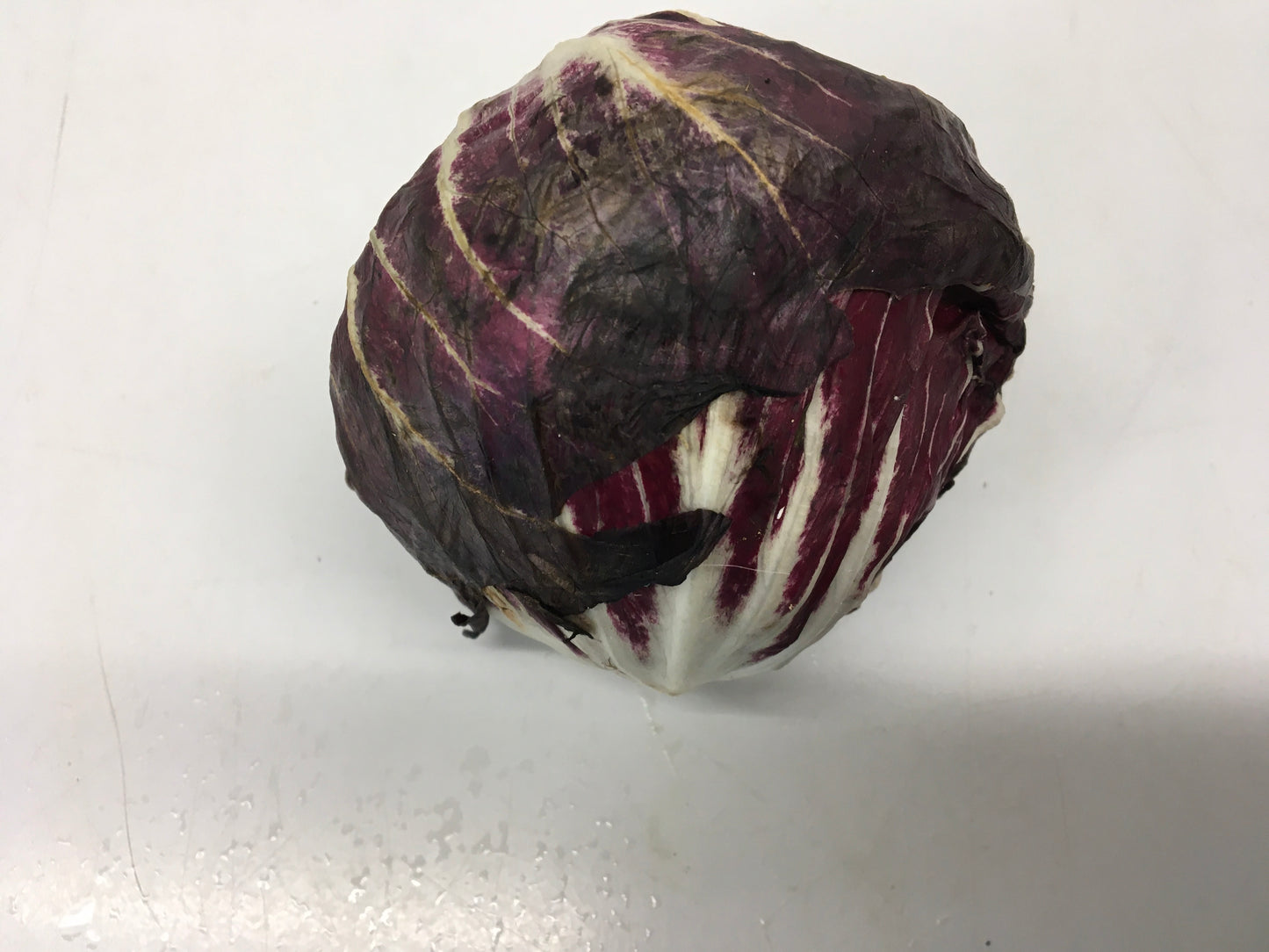 Radicchio