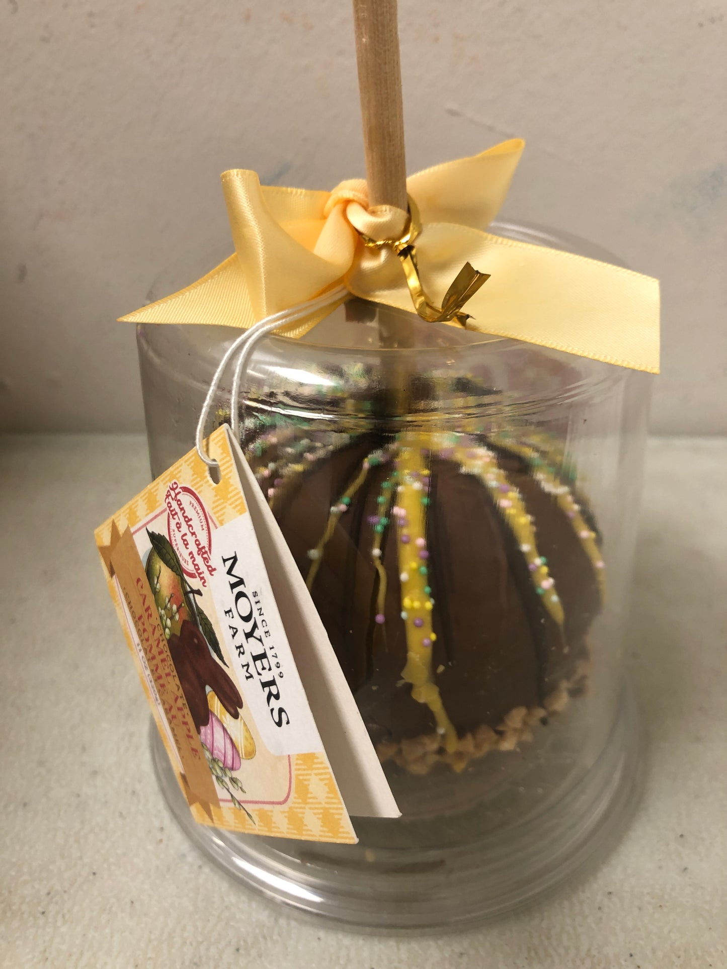 Chocolate Dipped Caramel Apple