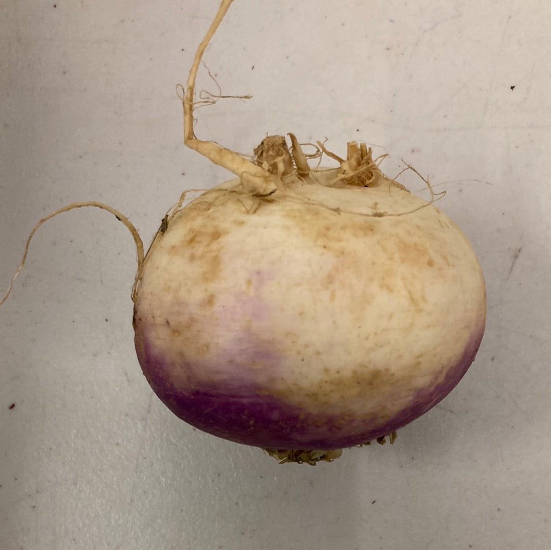 Rutabaga
