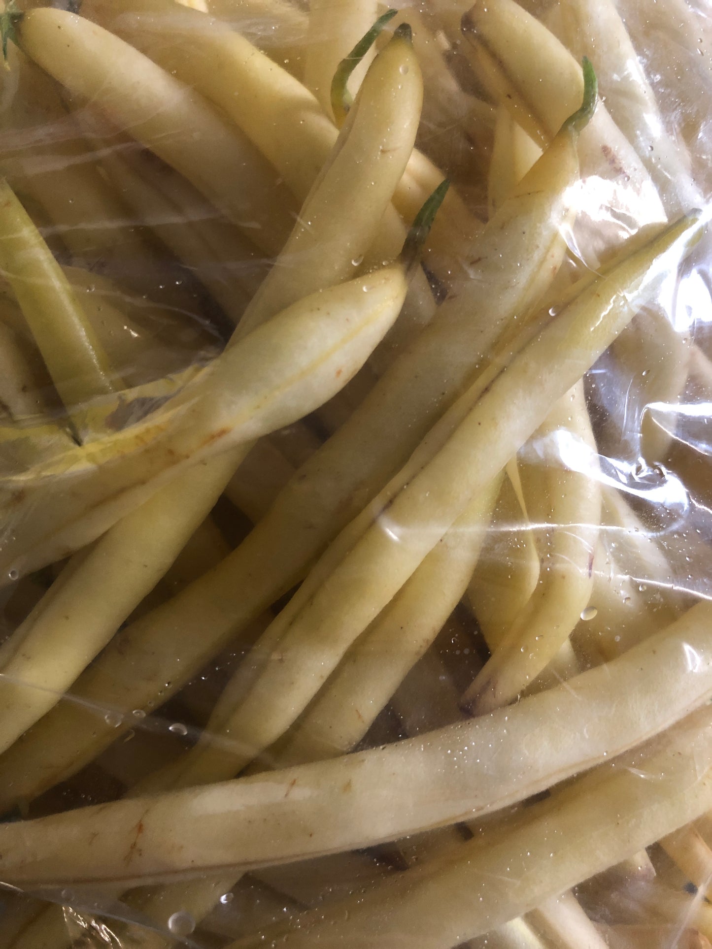 Wax (Yellow) Beans - Bag