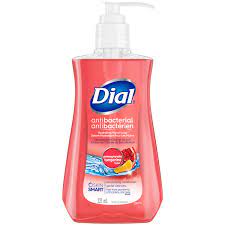 Dial pomegranate tangerine hand soap
