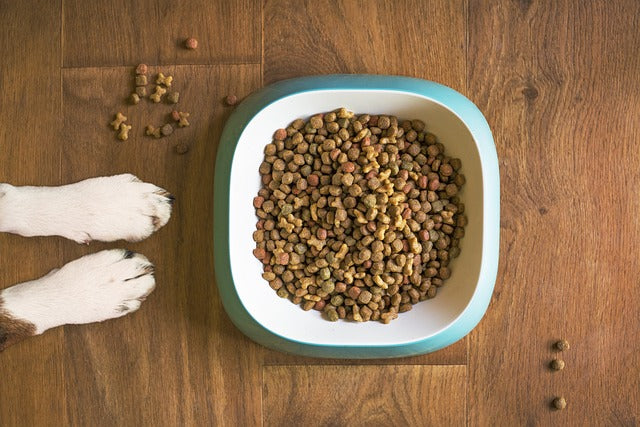 Pet Food