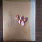 Lindt Chocolate Box - 1 Per House