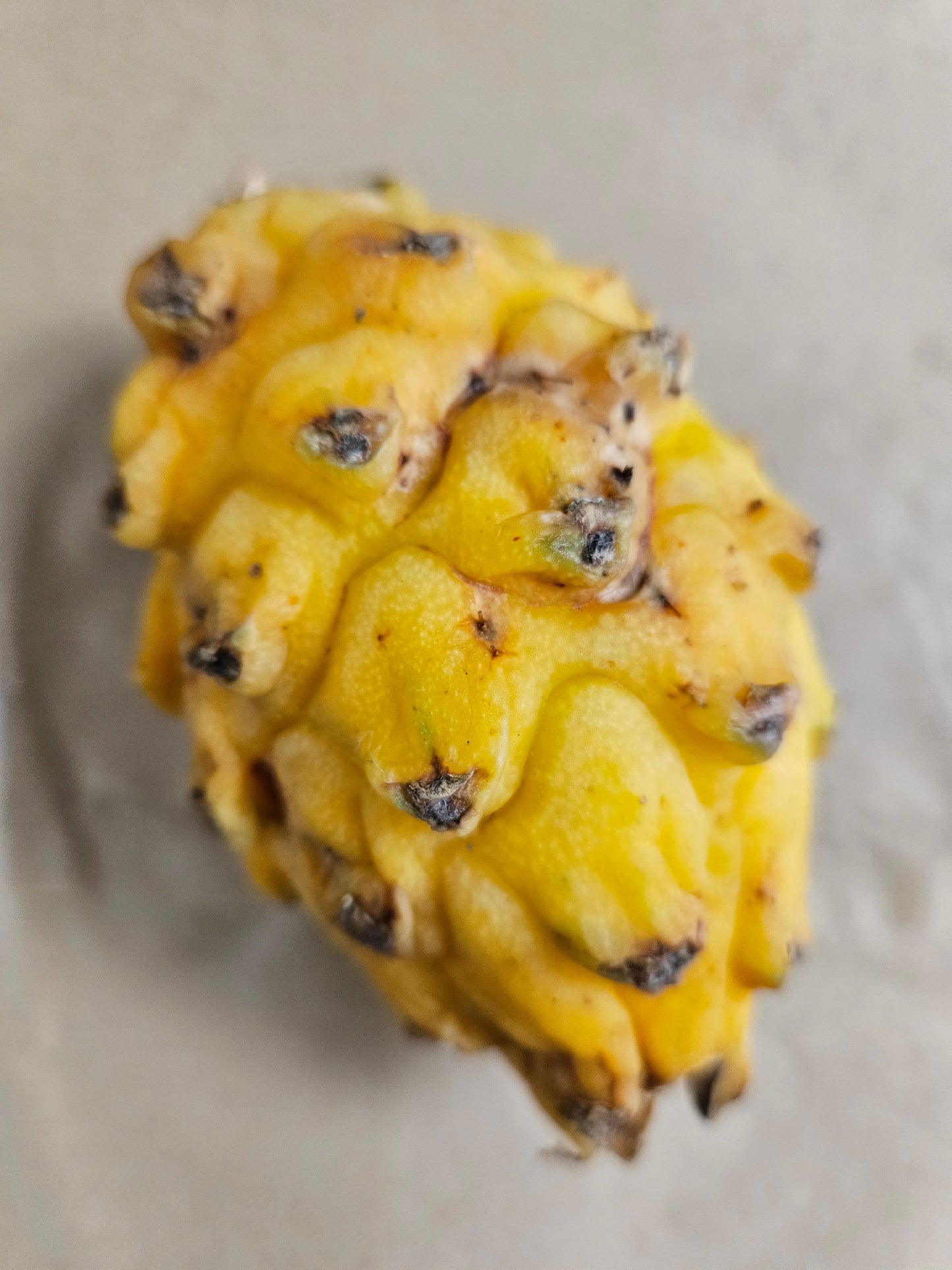 Dragon Fruit - Variety