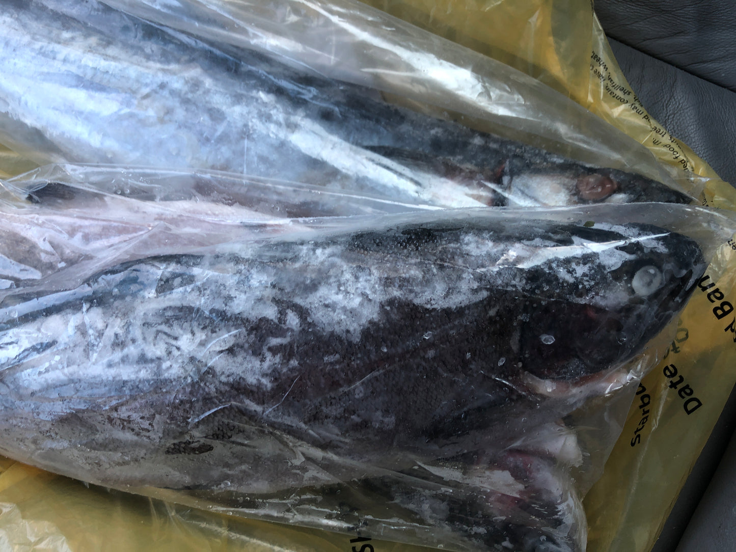 Frozen Fish- limit of one per household