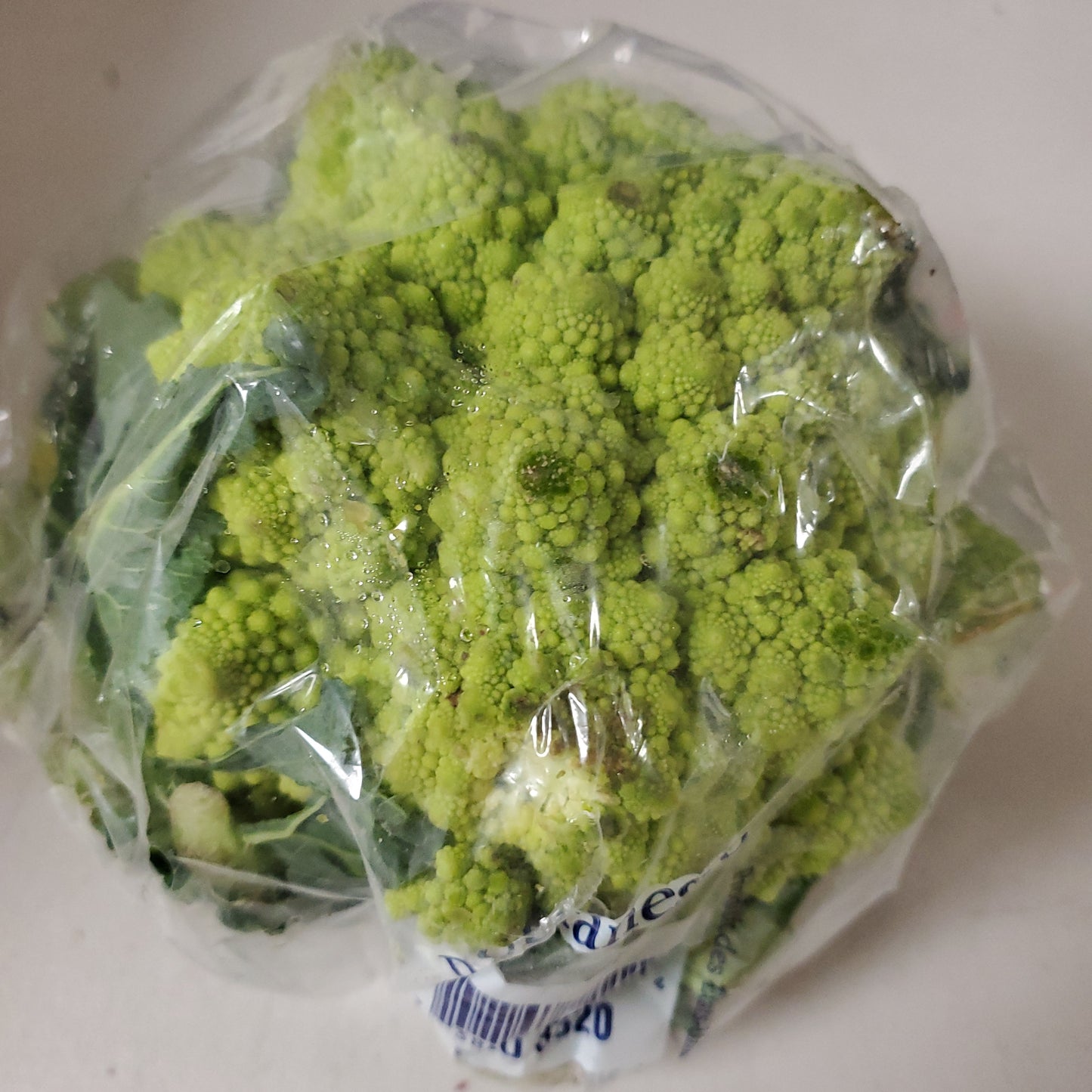 Vegetables - Fresh