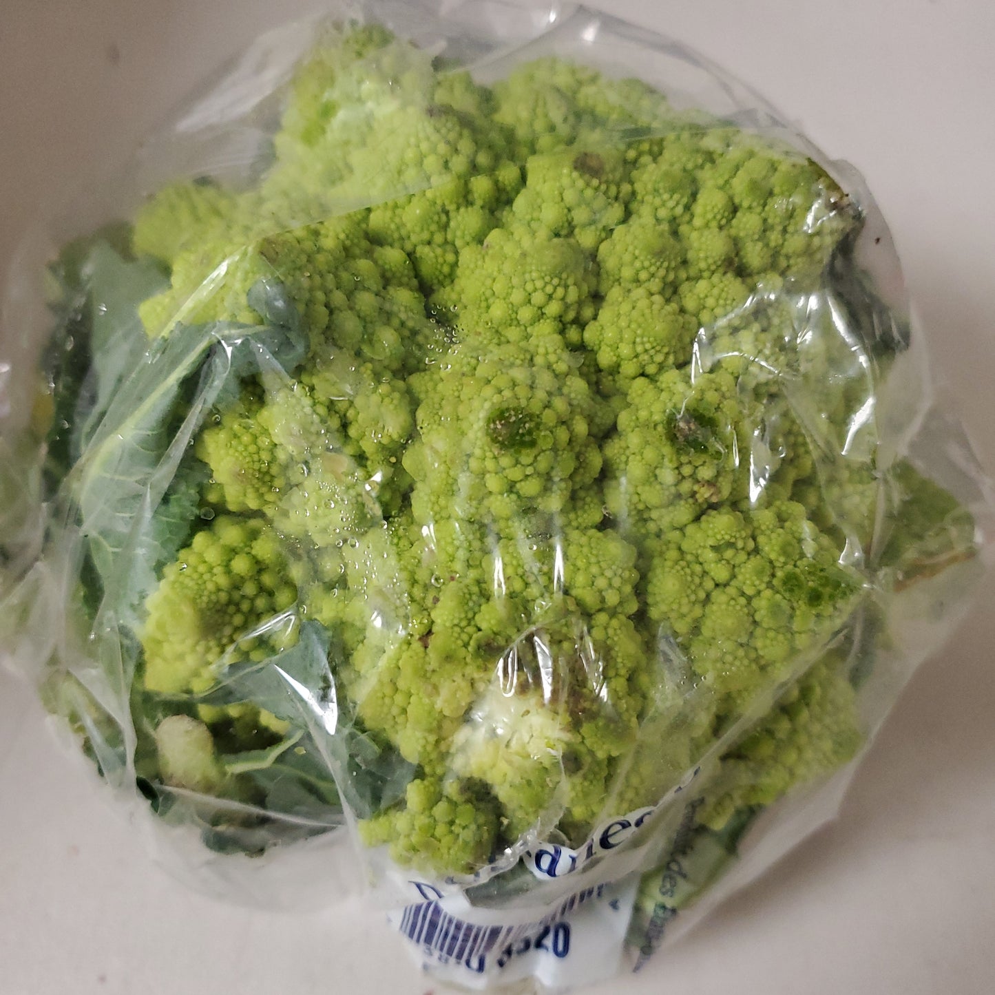 Vegetables - Fresh