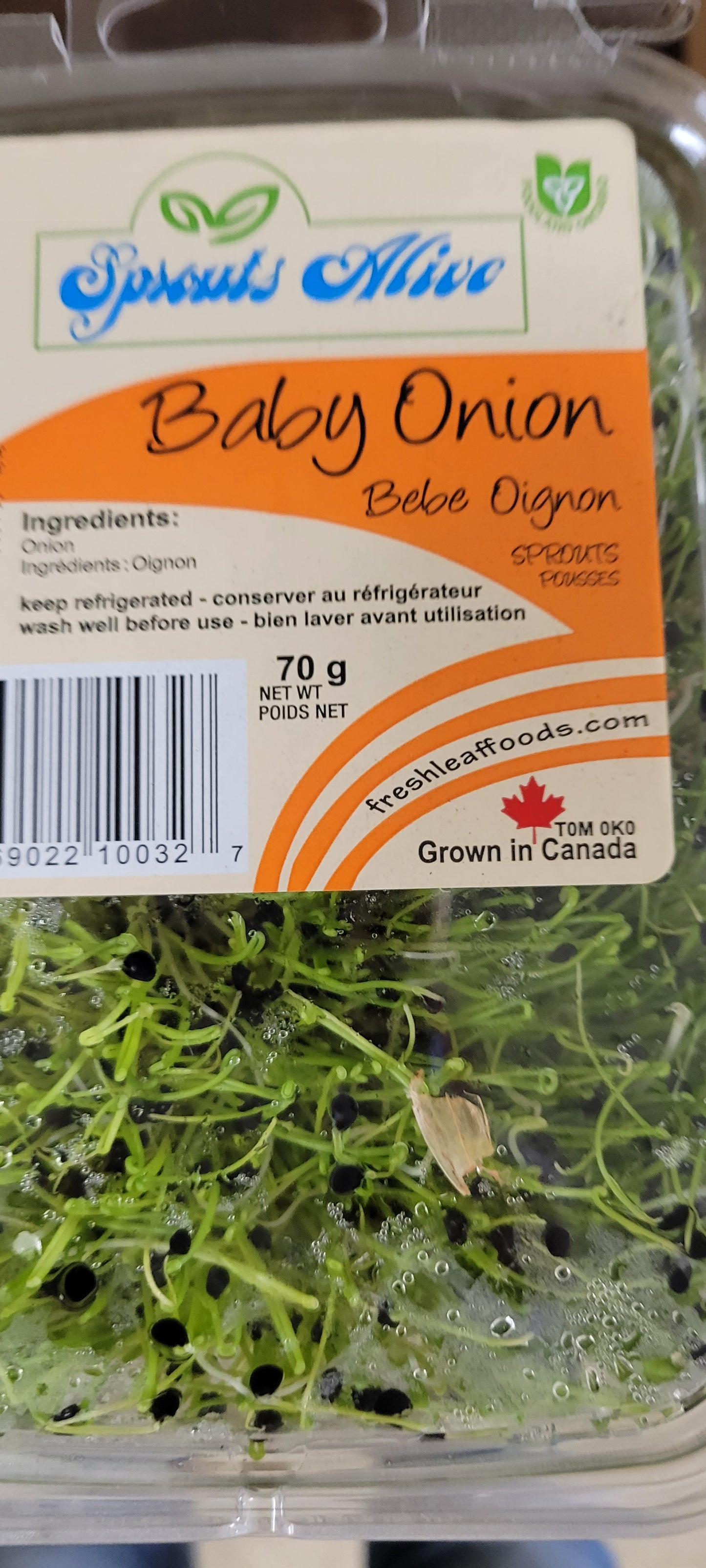 Sprouts