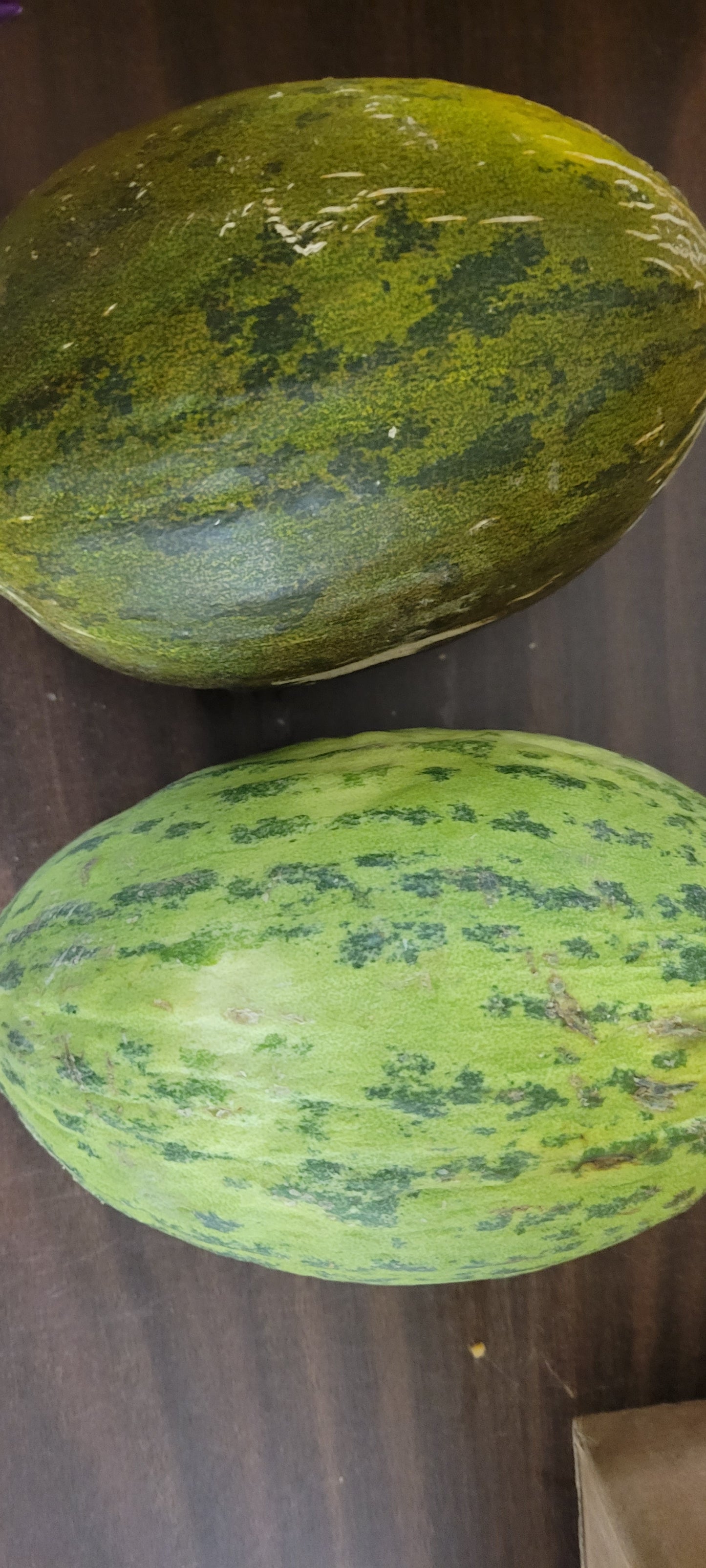 Melons