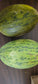 Melons