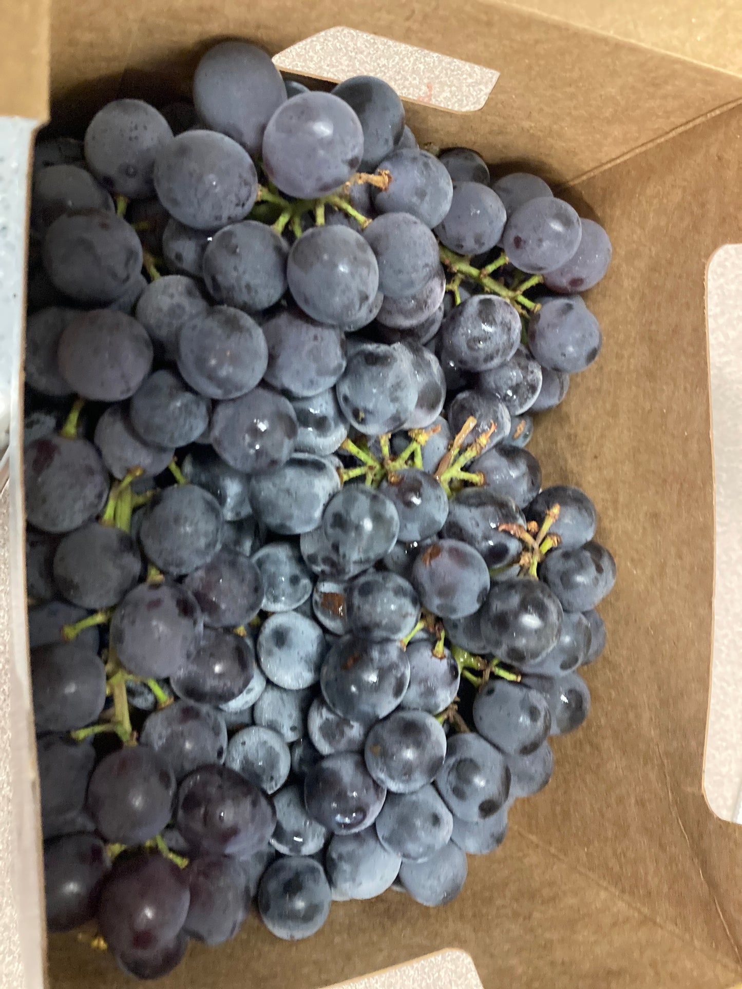 Grapes - Variety