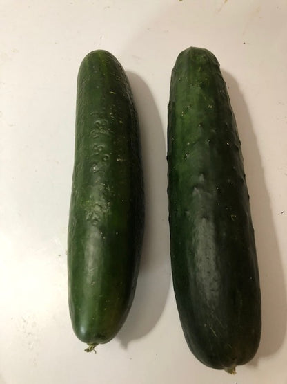 Cucumbers - Variety