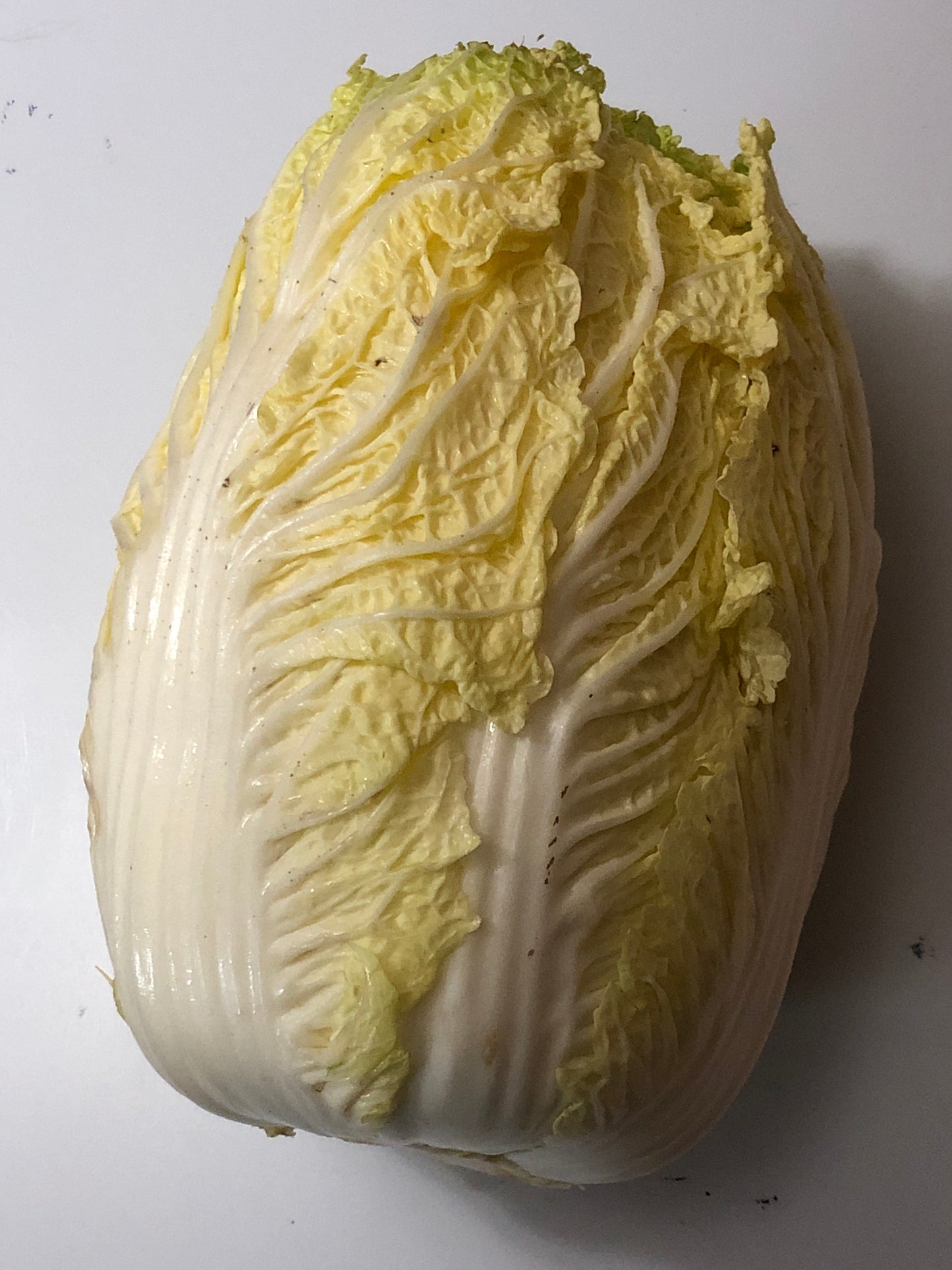 Cabbages - Variety