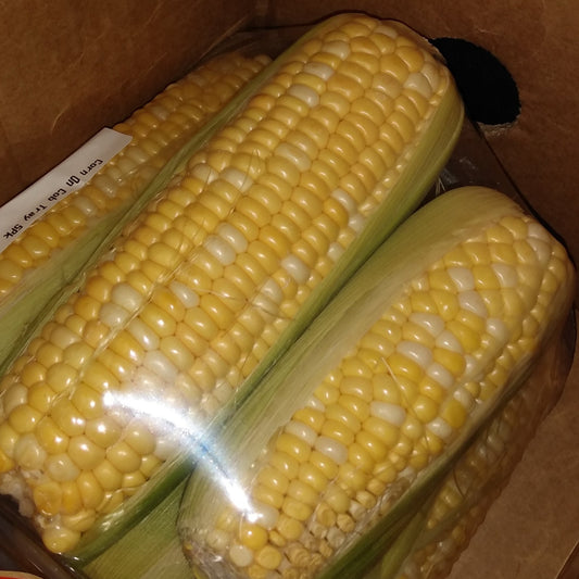 Corn - Fresh