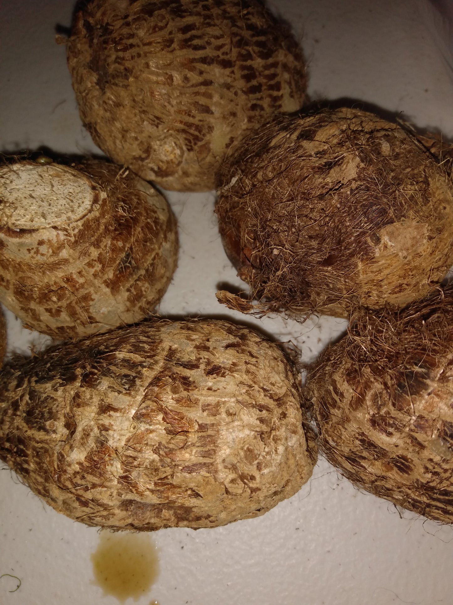 Root Vegetable