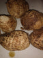 Root Vegetable