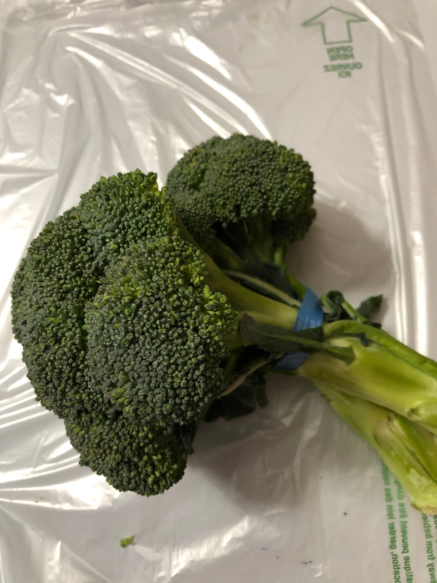 Vegetables - Fresh