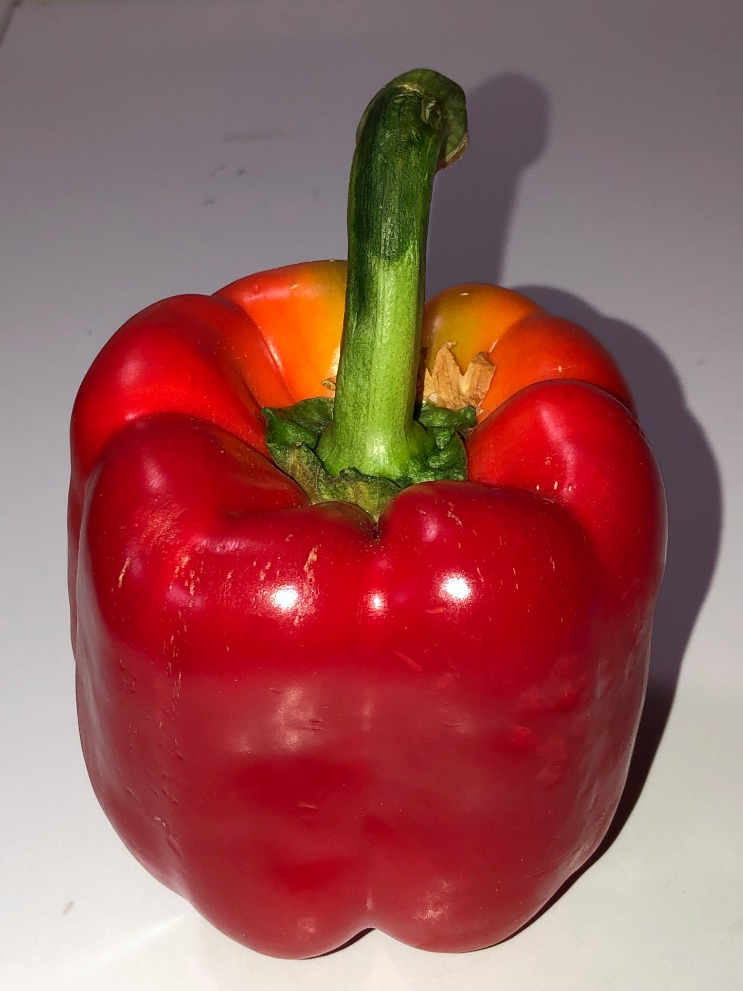 Bell Peppers