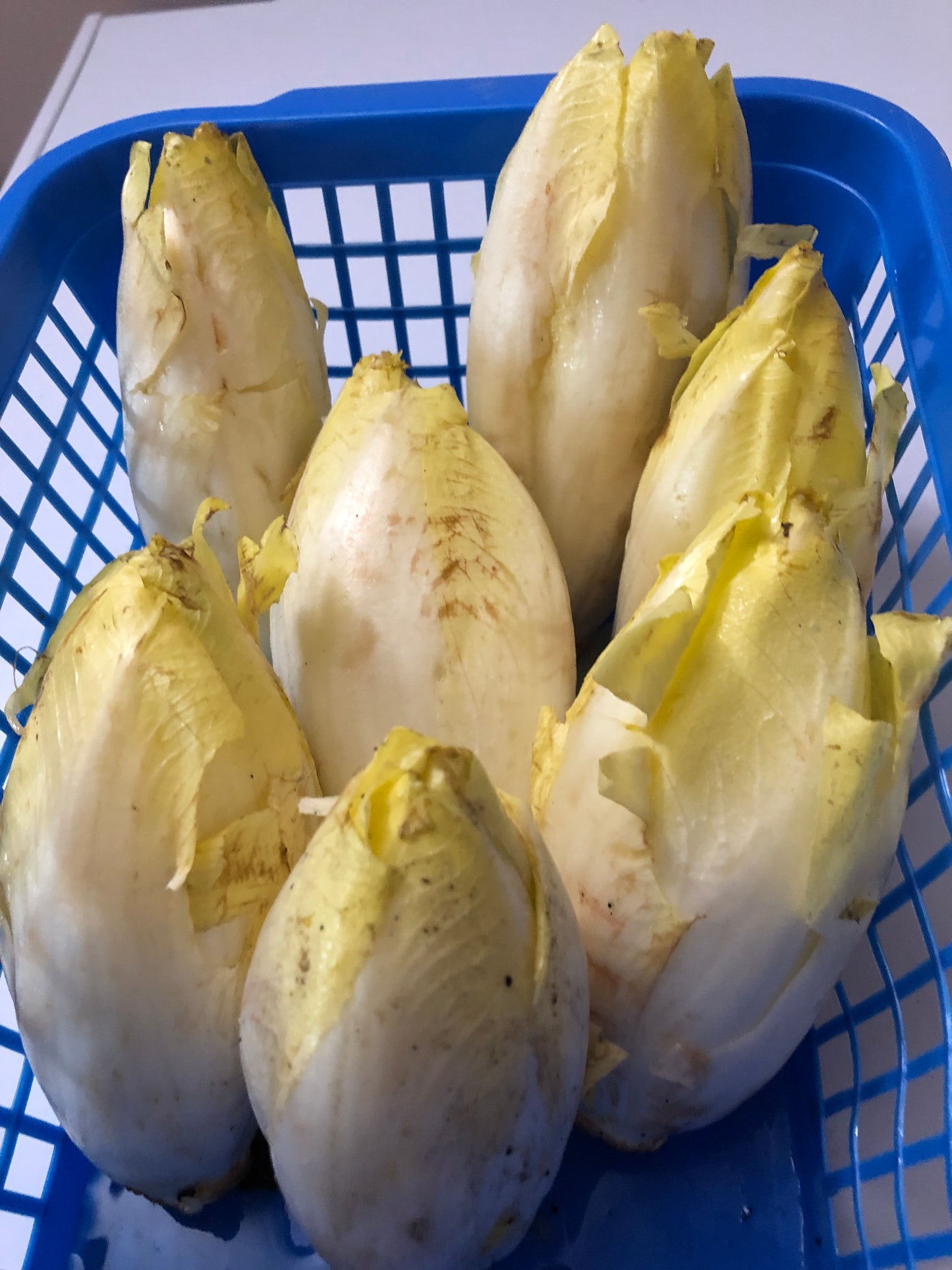 Endives