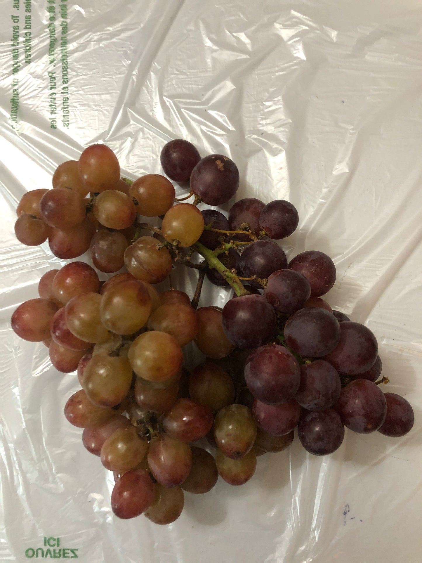 Grapes - Variety