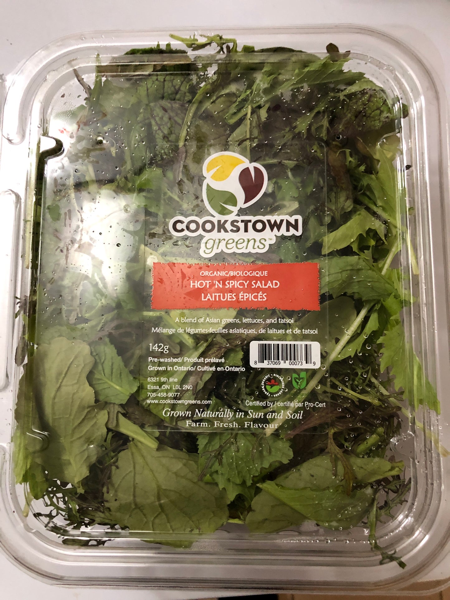 Salads - Small