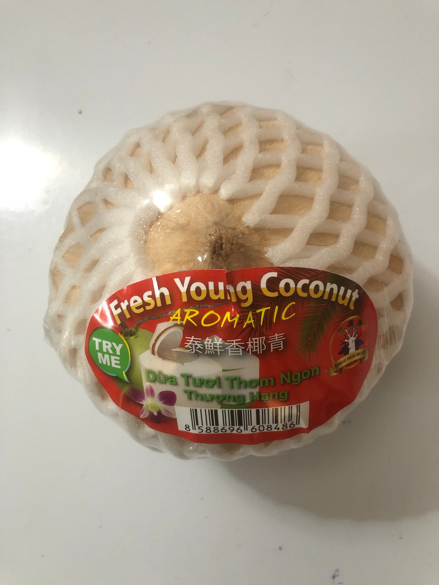 Coconuts - Variety