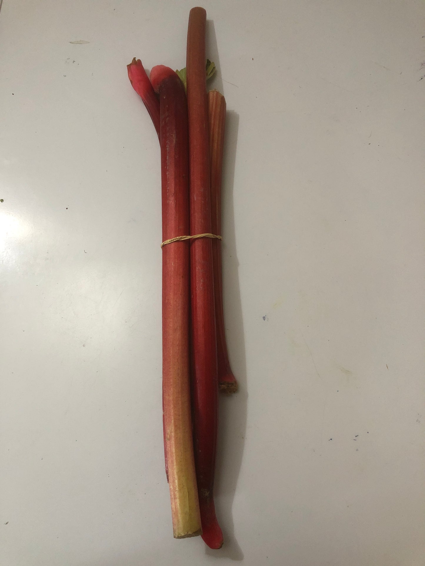 Rhubarb