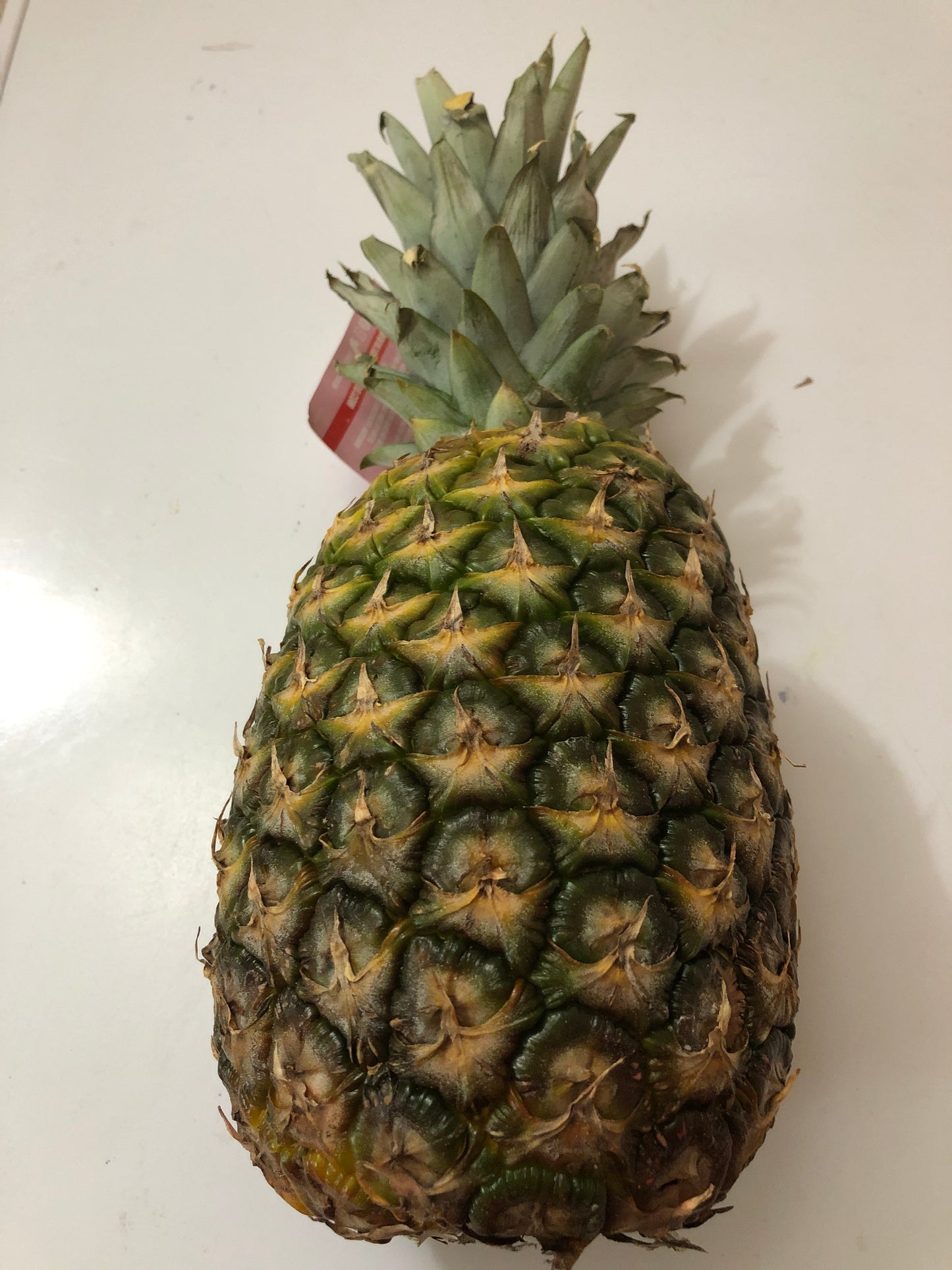 Pineapple head