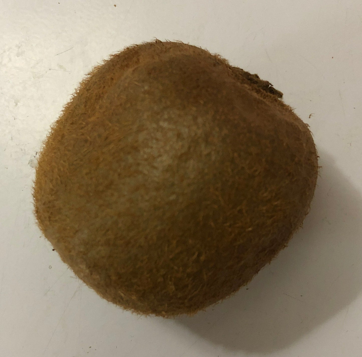 Kiwi - single