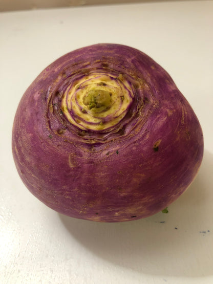 Turnip