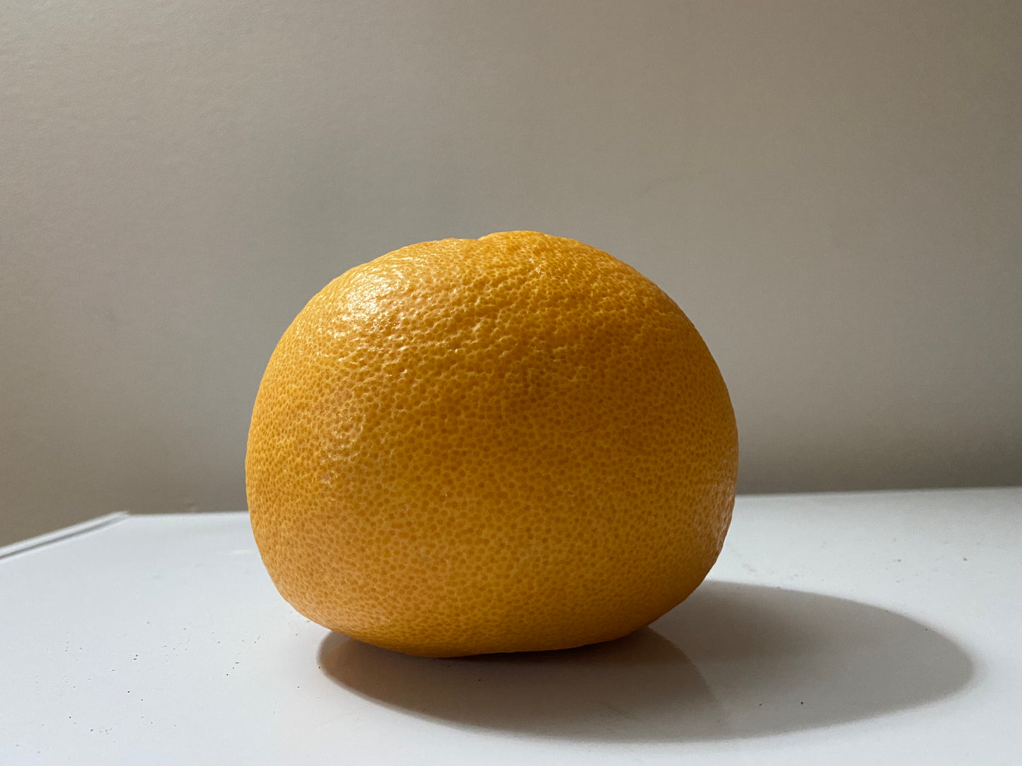 Grapefruit - Single
