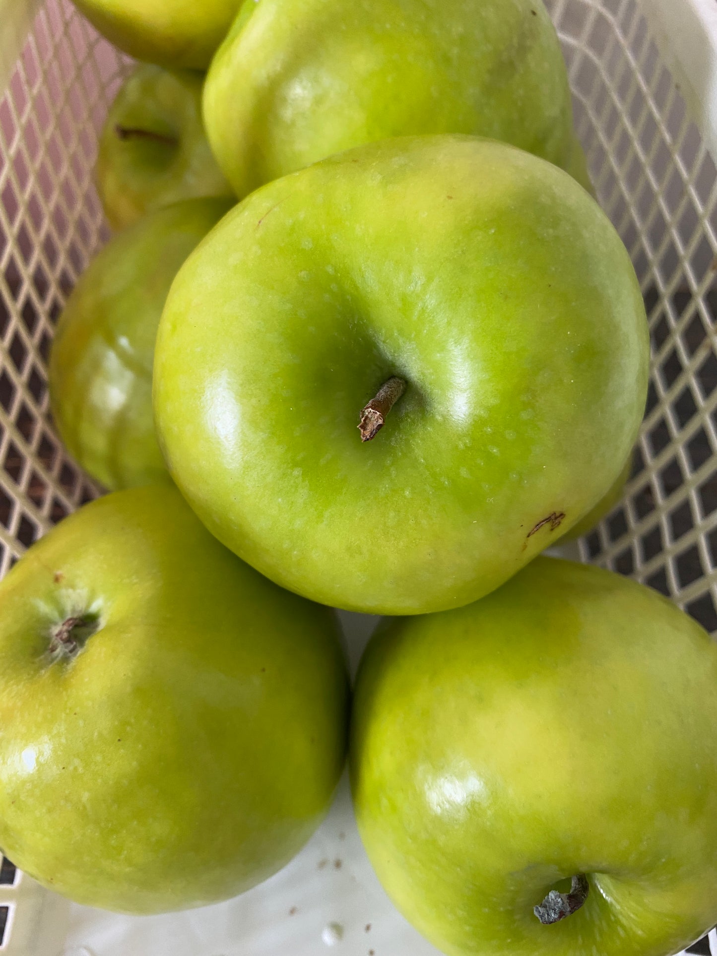 Apples