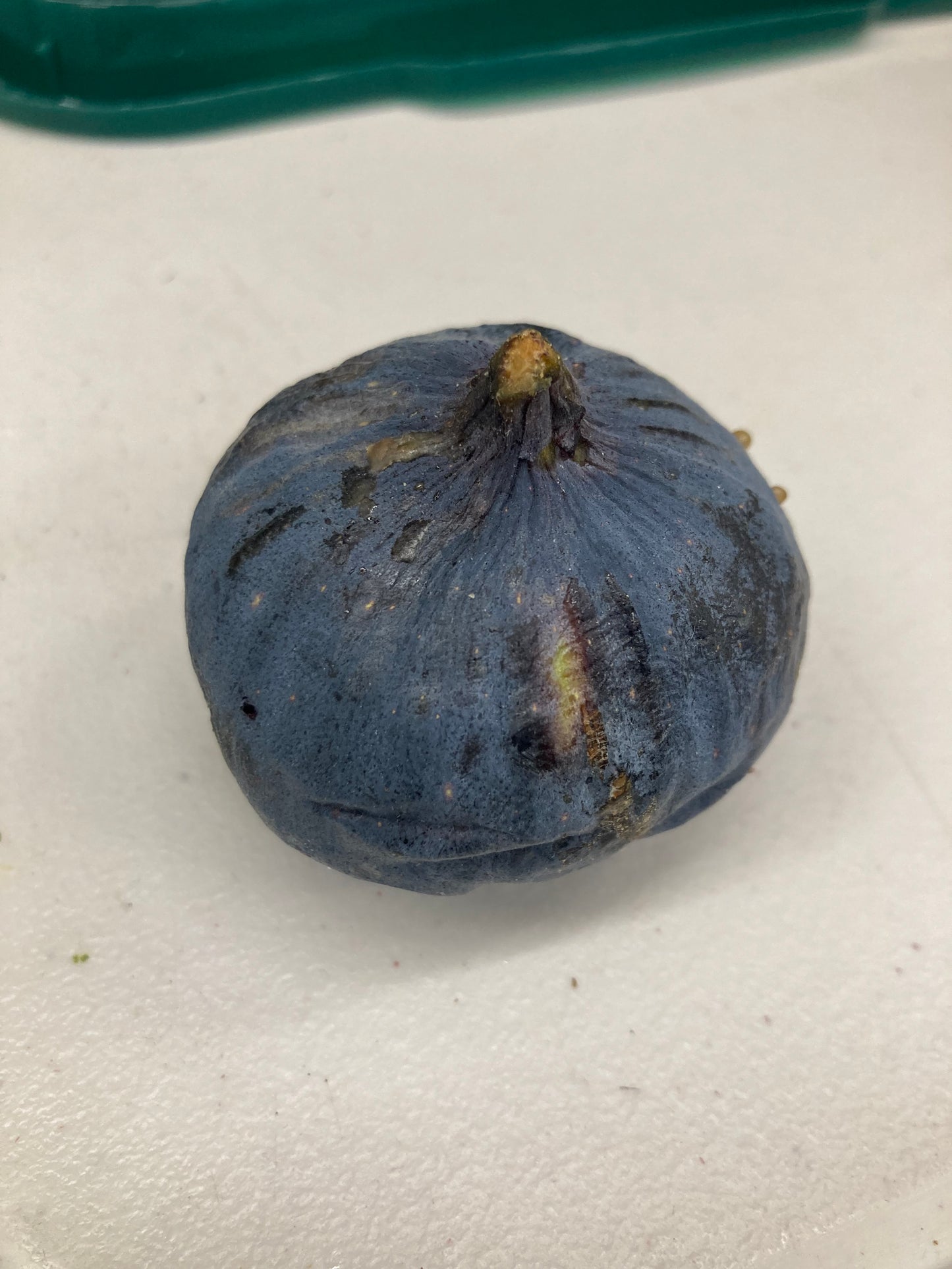 Figs - Variety