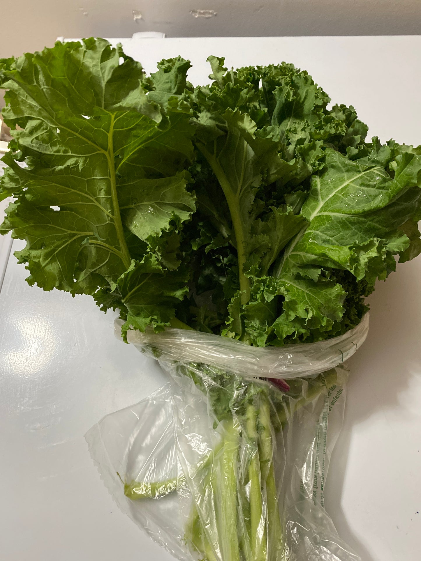 Kale - Variety