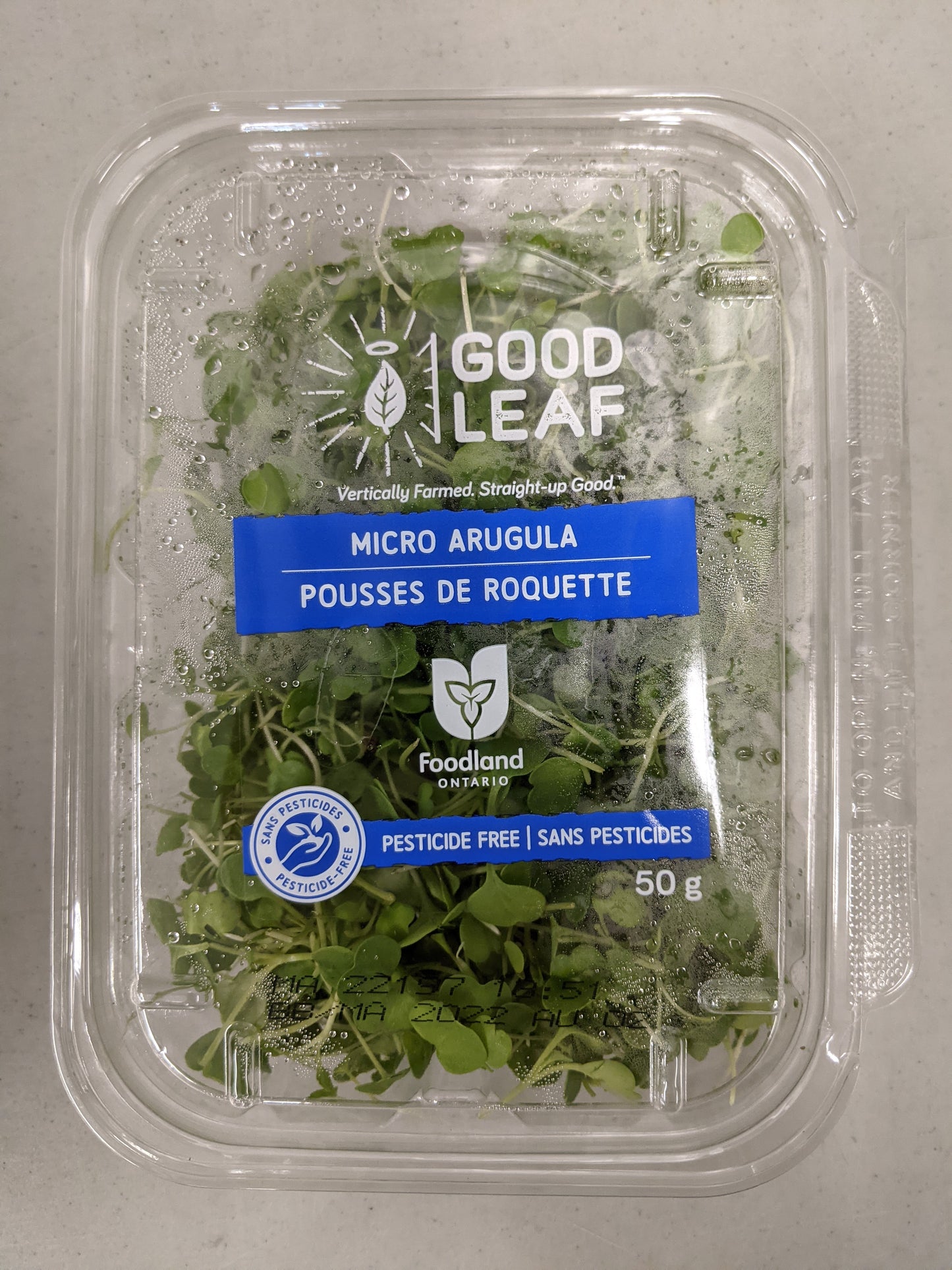 Good Leaf Vegetable Sprouts